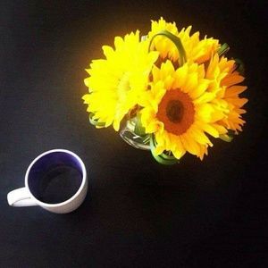 Meet your Posher, Neshy